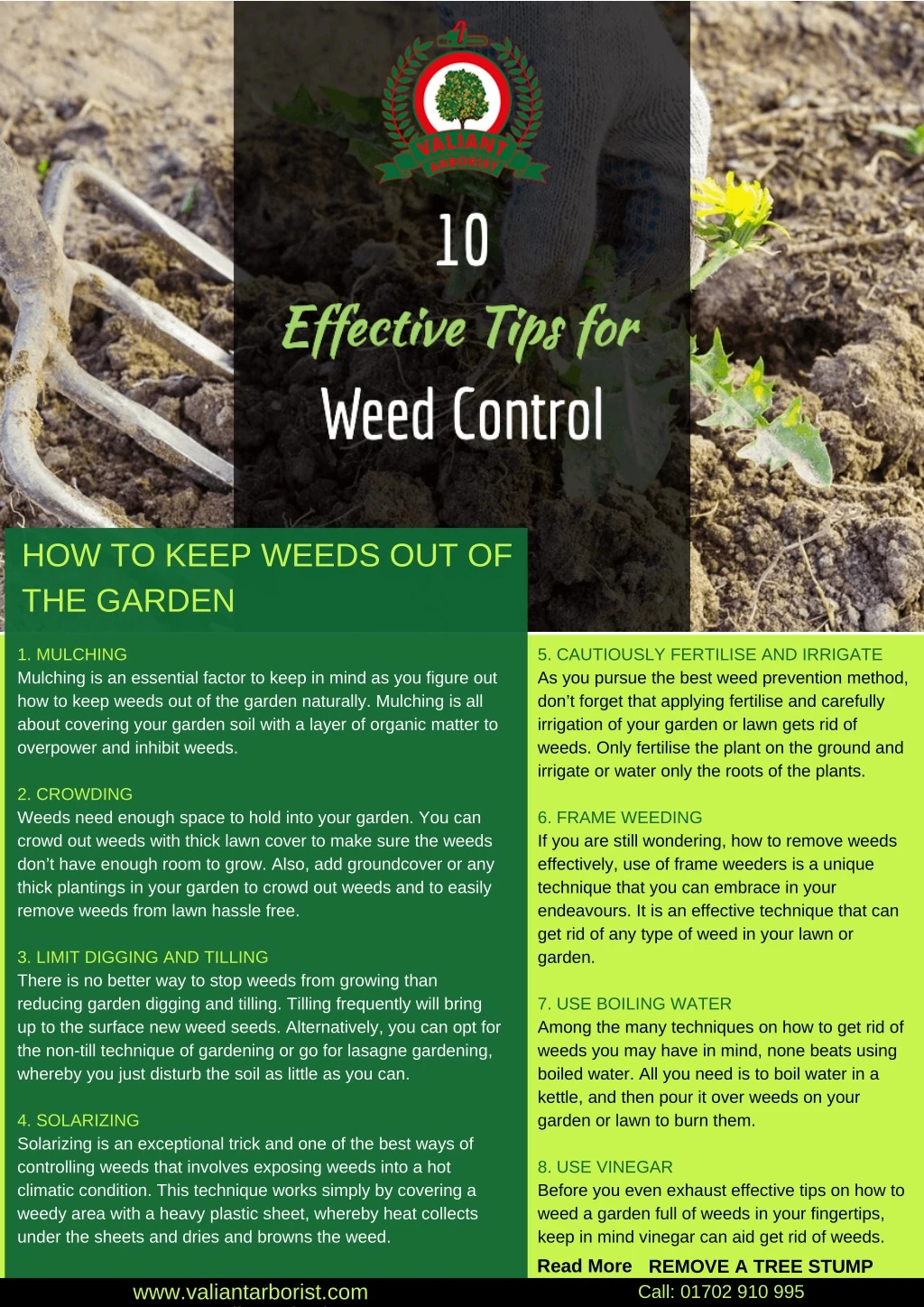 how to keep weeds out of the garden