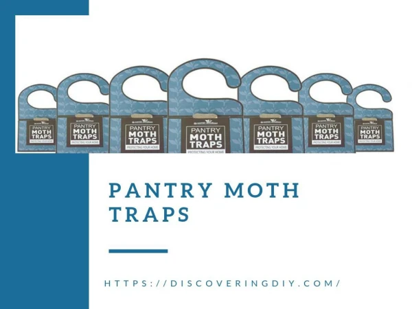 Pantry moth traps