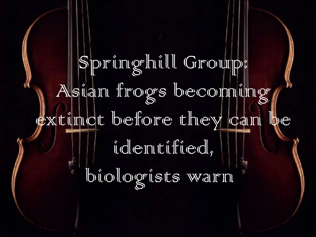 springhill group asian frogs becoming extinct before they can be identified biologists warn
