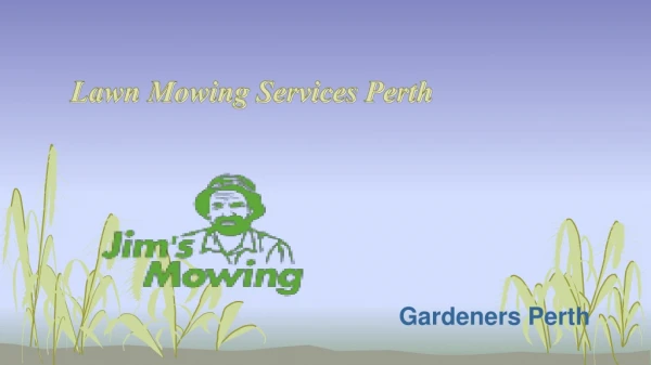 Lawn Mowing Services Perth