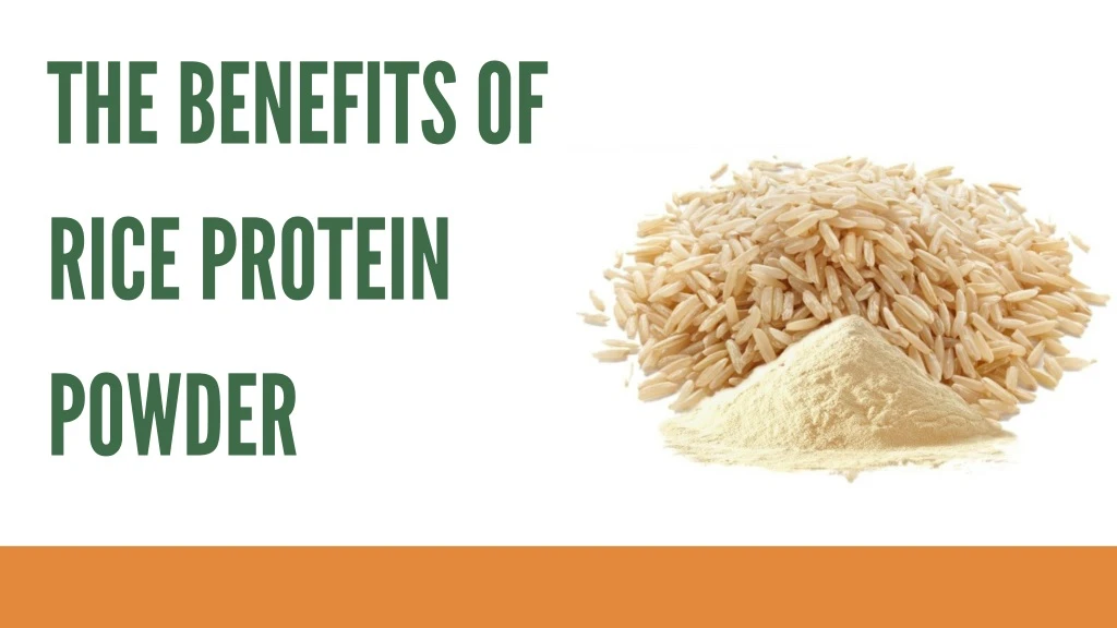 the benefits of rice protein powder