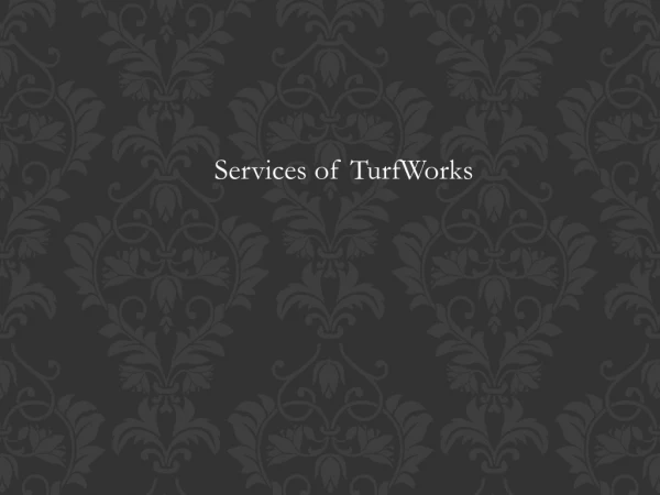 Services of TurfWorks