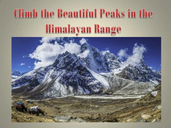 Climb the Beautiful Peaks in the Himalayan Range