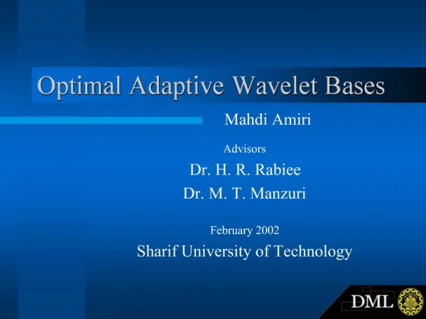 Optimal Adaptive Wavelet Bases