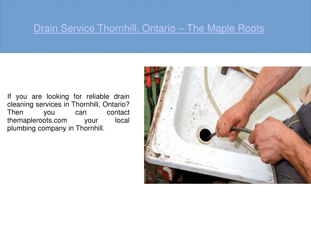 drain service thornhill ontario the maple roots