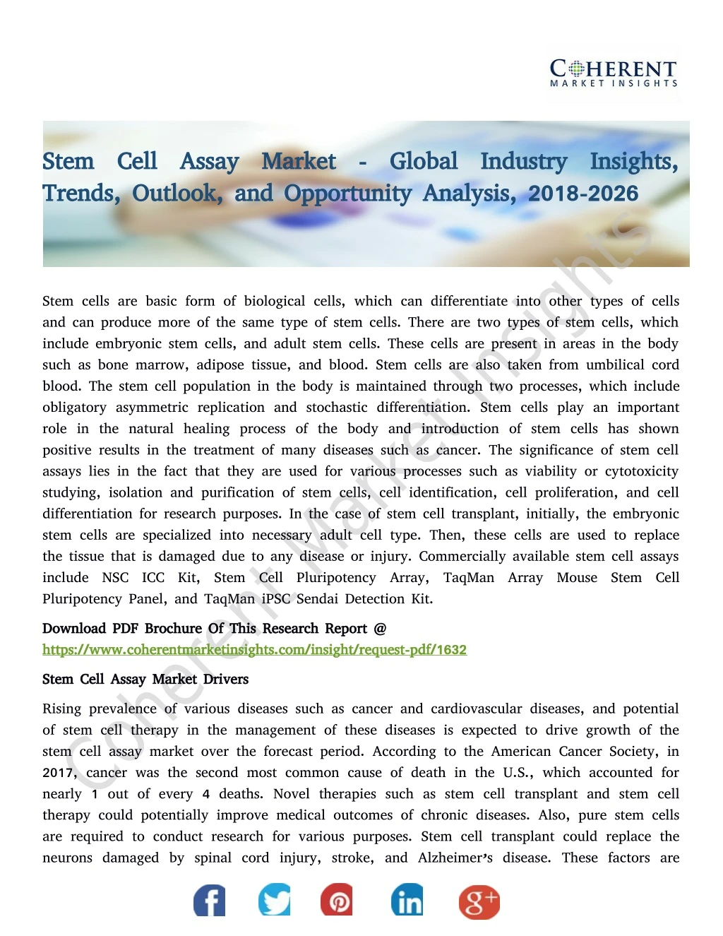 stem cell assay market global industry insights