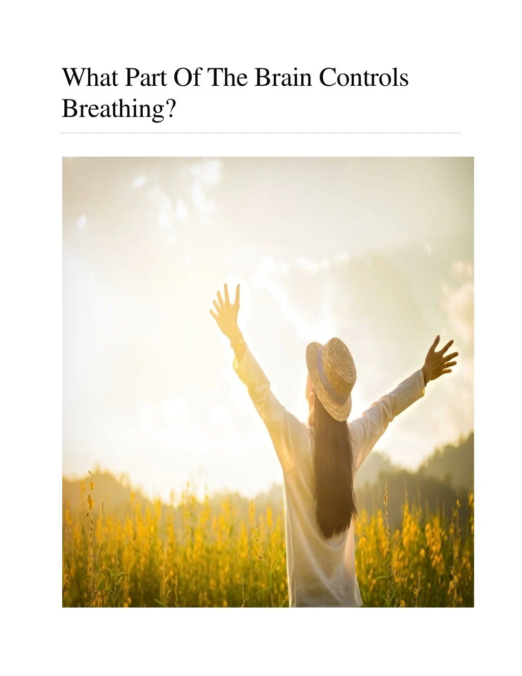 what part of the brain controls breathing