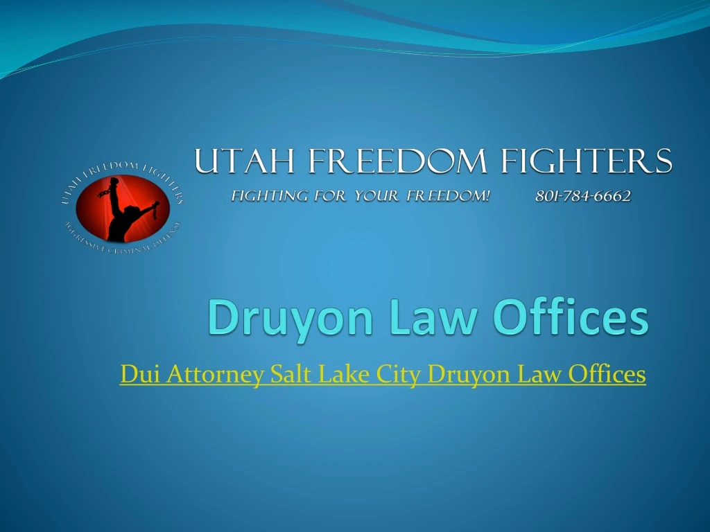 druyon law offices