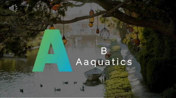 Lake Cleaning Services - A & B Aquatics