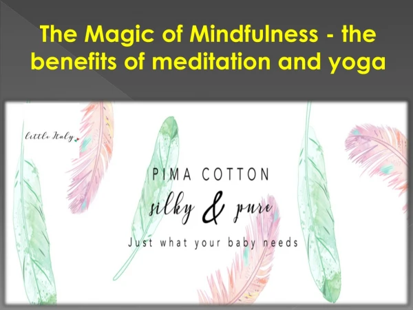 The Magic of Mindfulness - the benefits of meditation and yoga