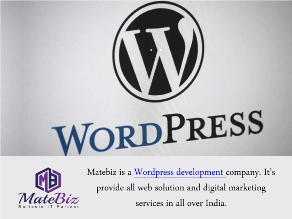 Why Choose WordPress Development Services From Matebiz