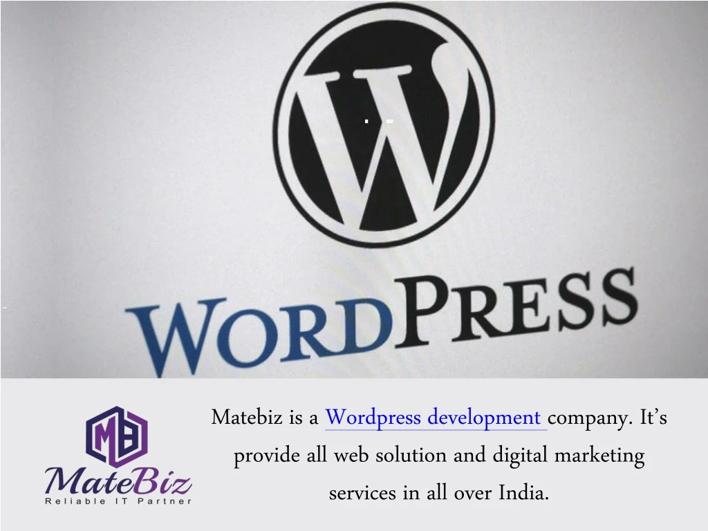 matebiz is a wordpress development company