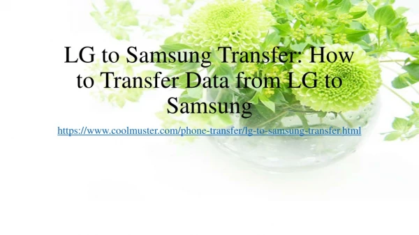 Top 4 Solutions on LG to Samsung Transfer