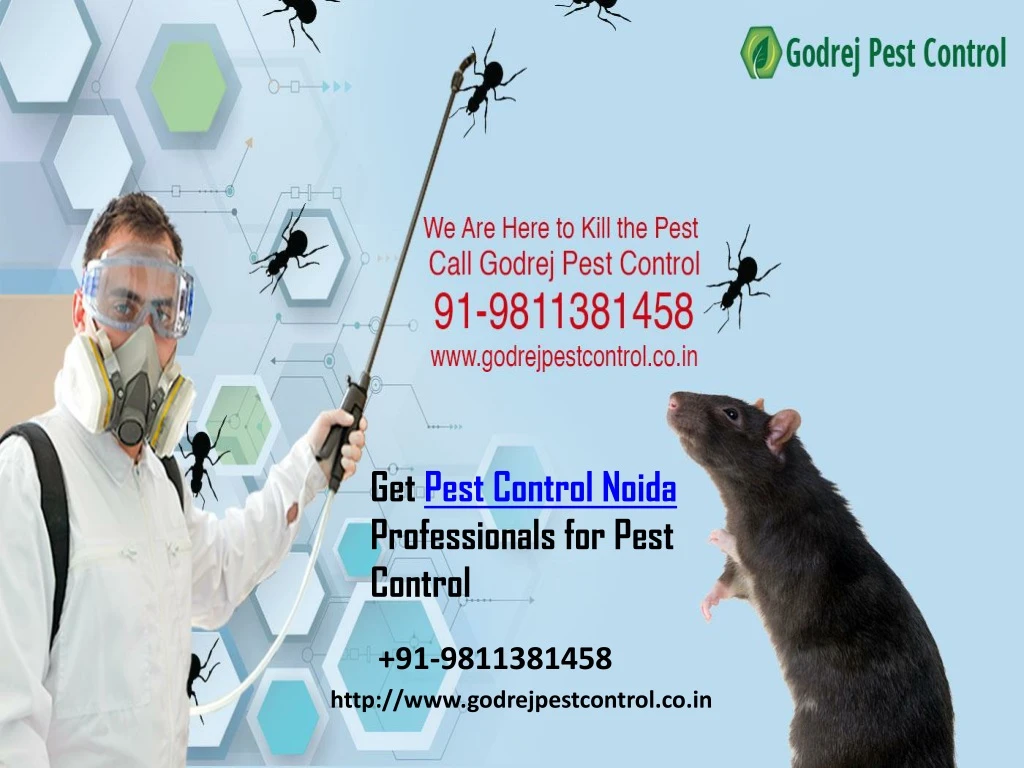 get pest control noida professionals for pest