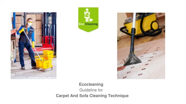 Ecocleaning professional works on carpet and sofa cleaning in Gurgaon