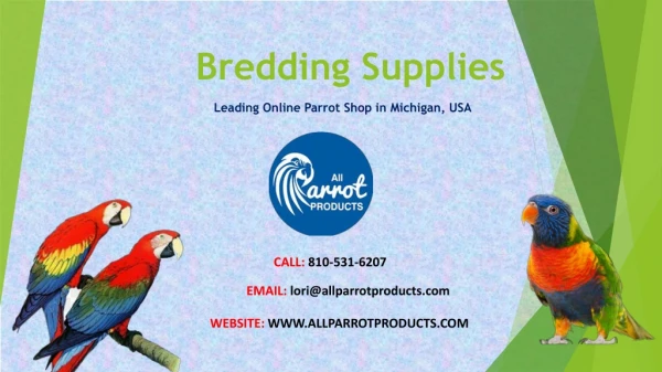 Parrot Breeding Supplies