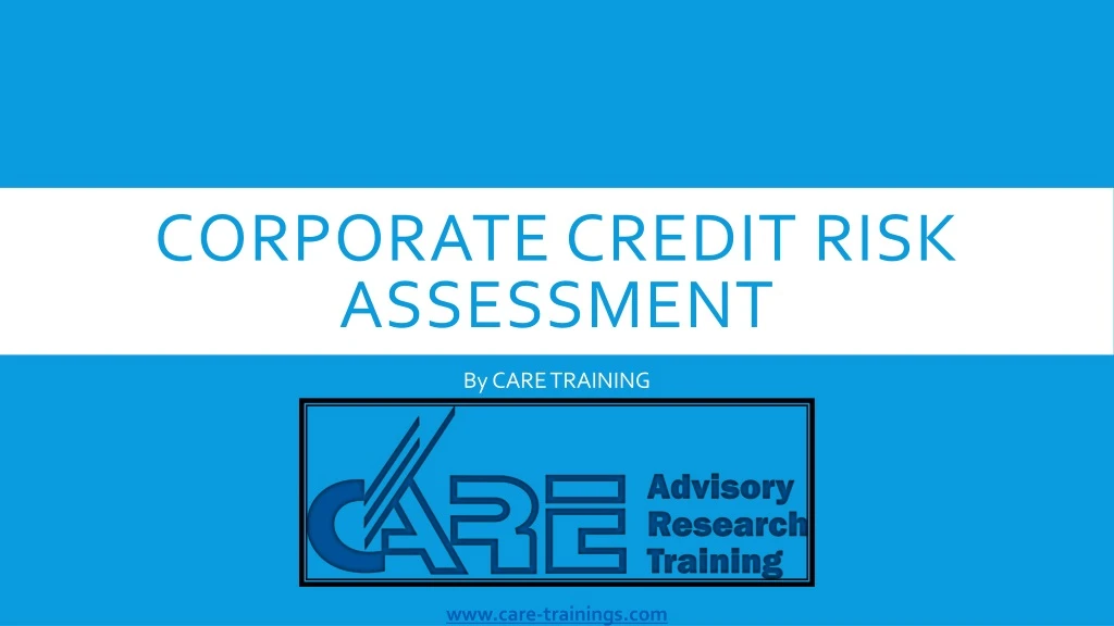 corporate credit risk assessment