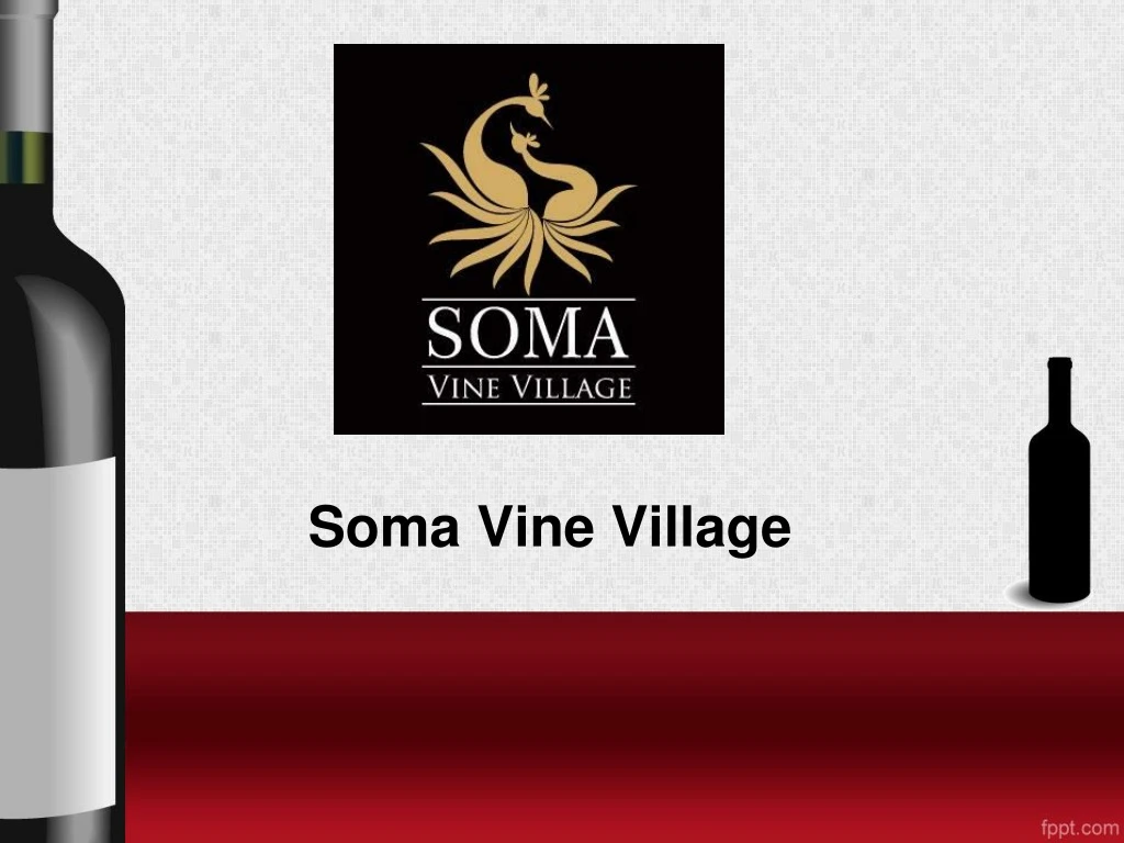 soma vine village
