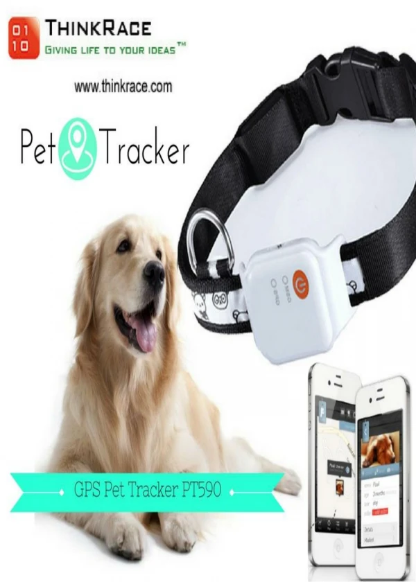 pet tracker design