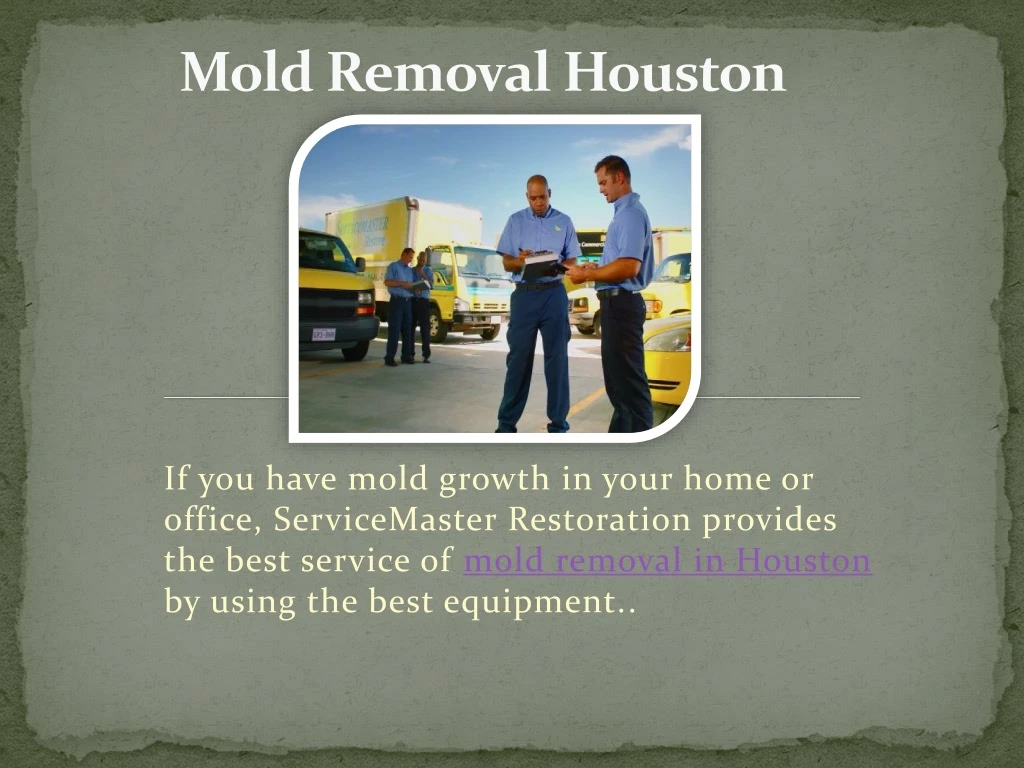 mold removal houston