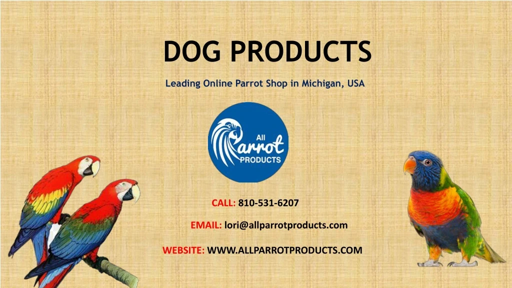 dog products