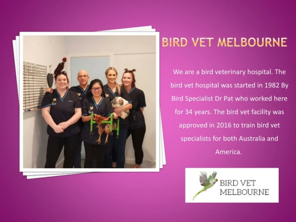 Best Wildlife Vet in Melbourne & Veterinary Laboratory for Pet Birds