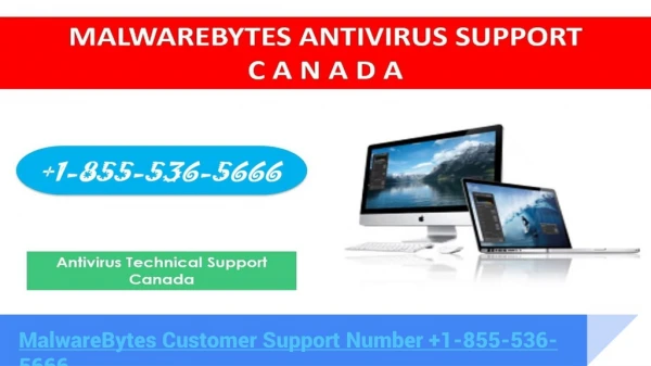 MalwareBytes Customer Helpline Support 1-855-536-5666
