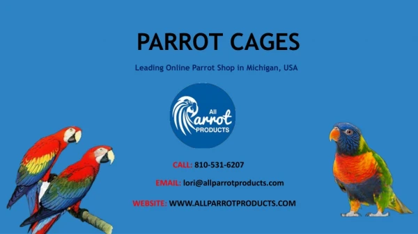 Buy Parrot Cages Online–All Parrot Products