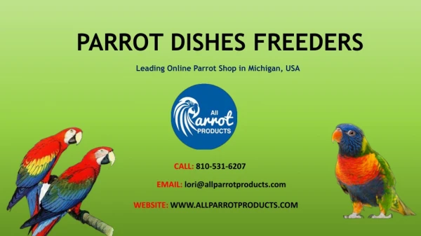 Buy Parrot Dishes Feeders Online