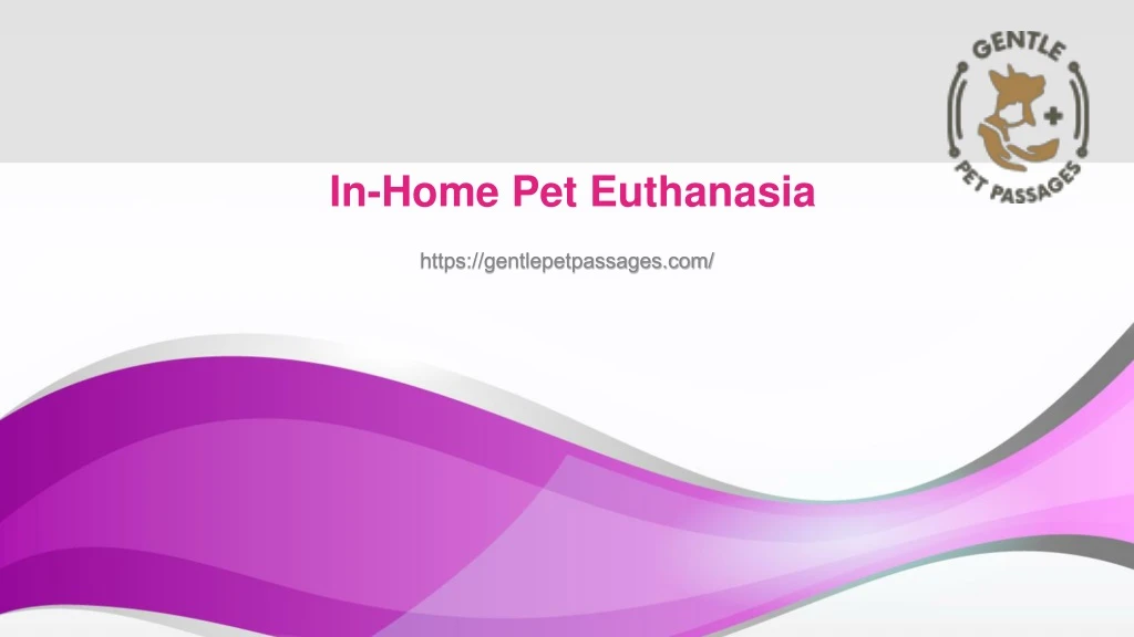 in home pet euthanasia