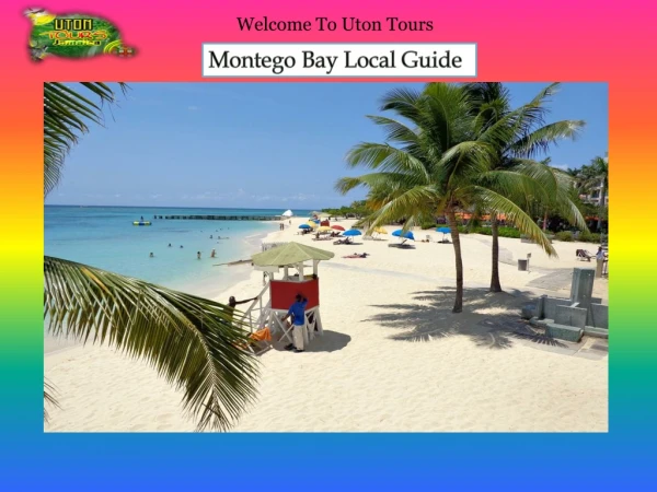 Montego Bay Local Guide