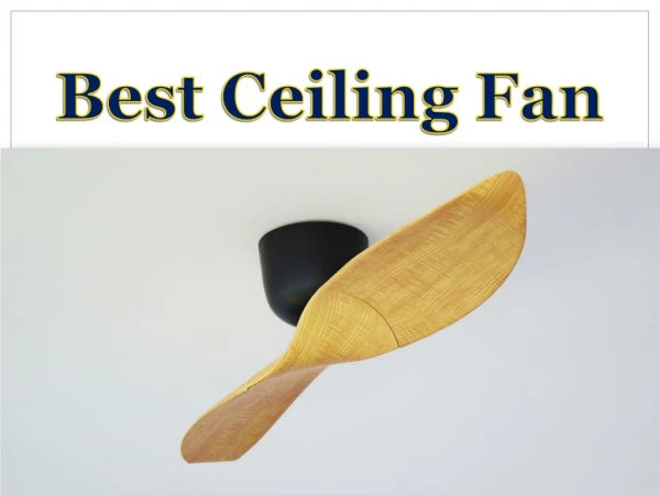 Best Ceiling Fan