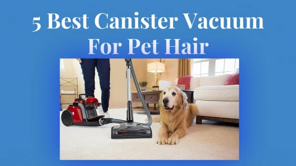 Canister Vacuum - Best Vacuums For Pet Hair