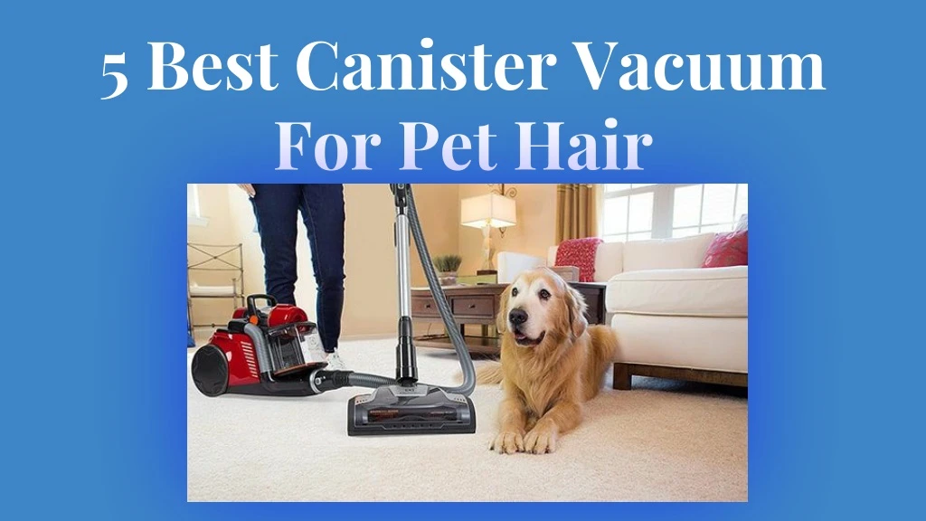 5 best canister vacuum for pet hair