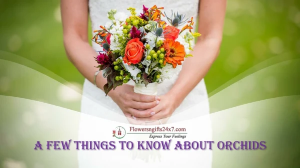 A Few Things to Know about Orchids