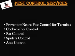 Pest control services - slide 1