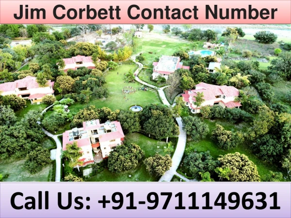 jim corbett contact number