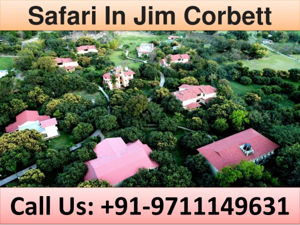 safari in jim corbett