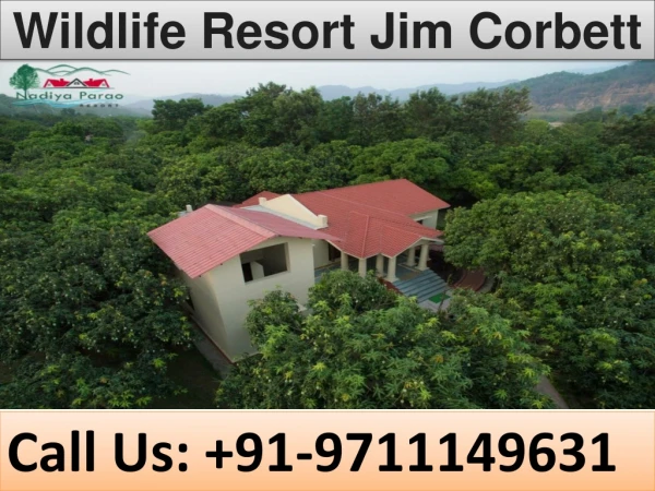 wildlife resort jim corbett