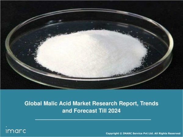 Malic Acid Market Report 2019-2024 | Industry Key Players: Changmao Biochem, Bartek, Thirumalai Chemicals, Fuso Chemical