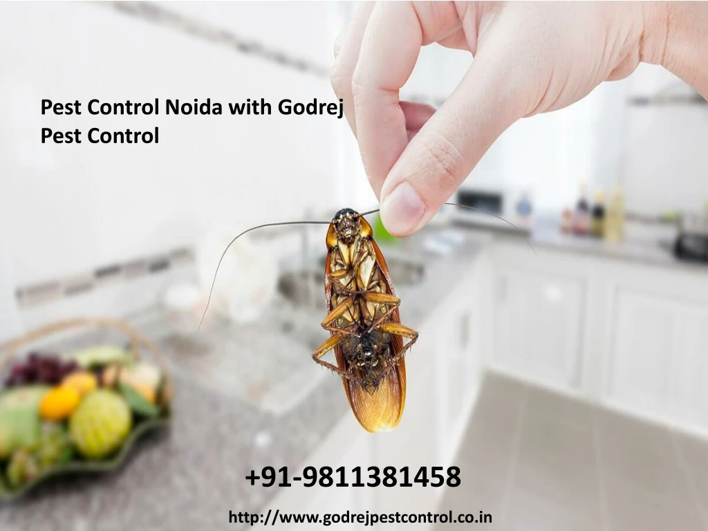 pest control noida with godrej pest control