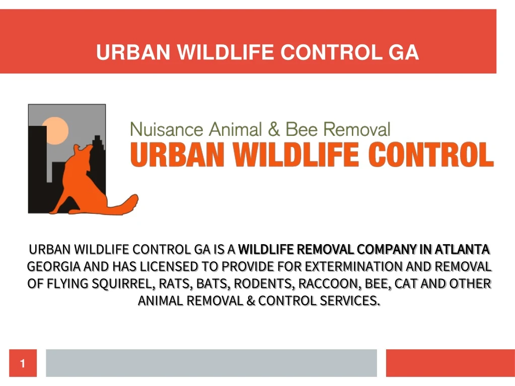 urban wildlife control ga