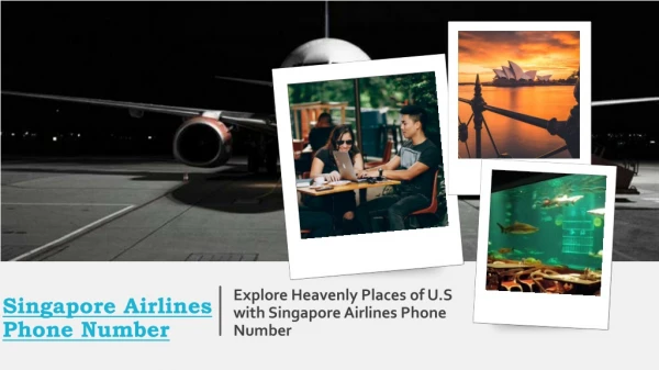 Explore heavenly places of U.S with Singapore Airlines Phone Number