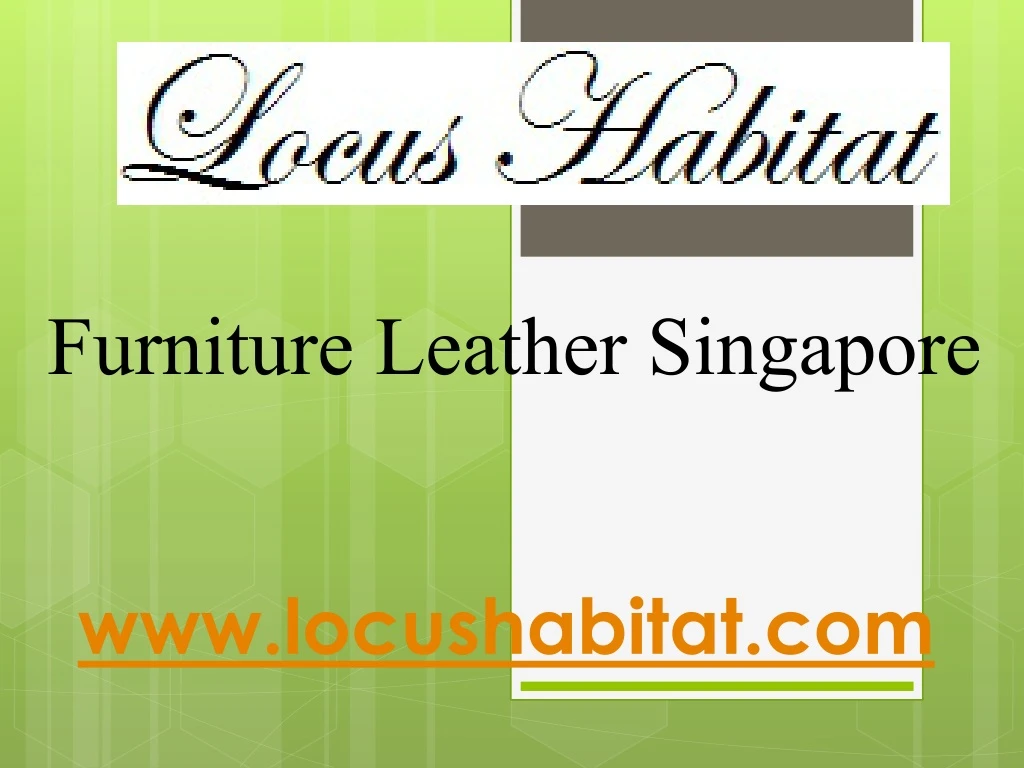 Furniture Leather Singapore - www.locushabitat.com