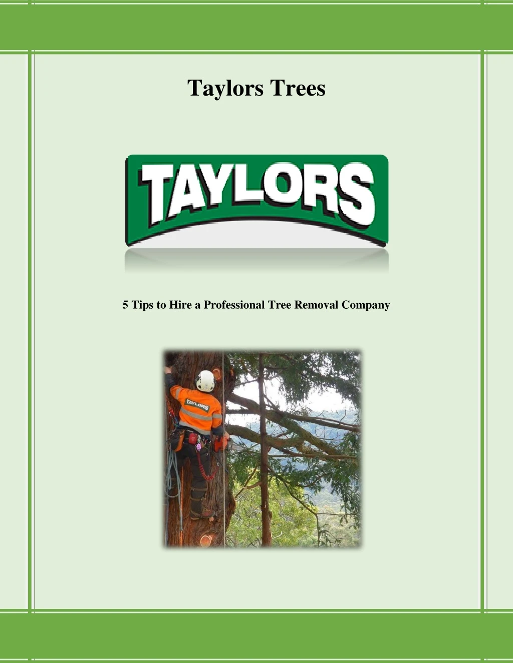 taylors trees