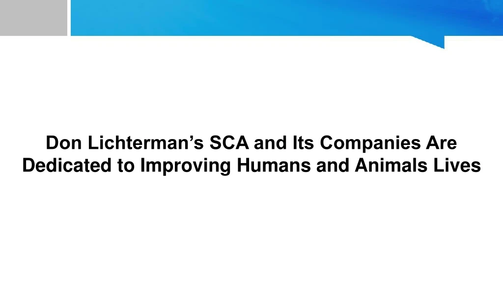 don lichterman s sca and its companies