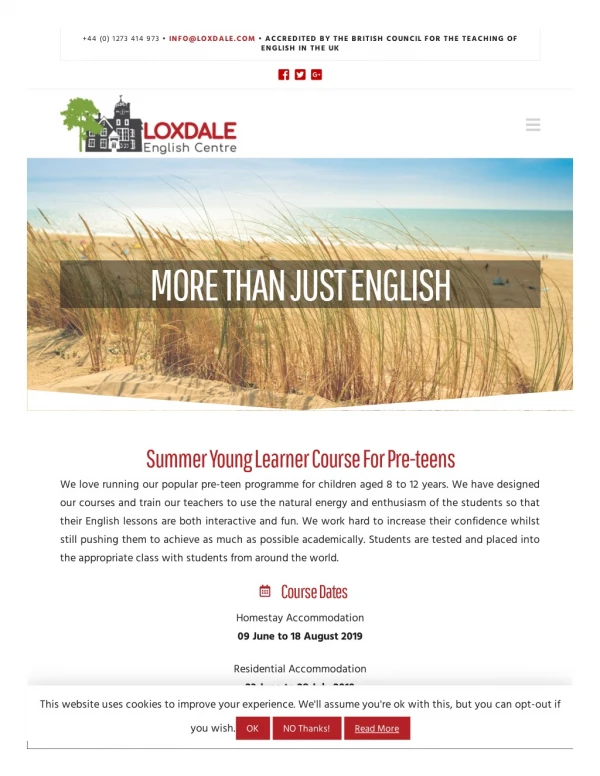 Summer Young Learner Course For Pre-teens