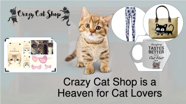 Top-Rated Cat Themed Gift Ideas for Your Feline-Loving Friends and Loved Ones