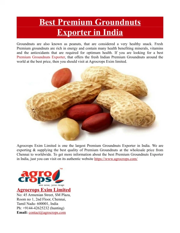 Best Premium Groundnuts Exporter in India