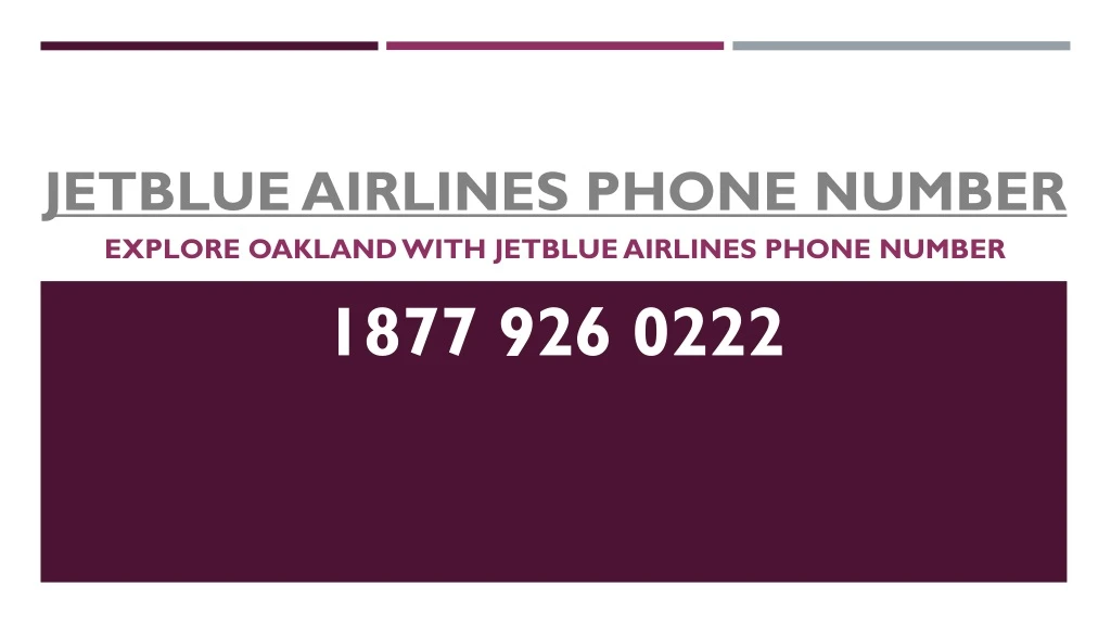 jetblue airlines phone number